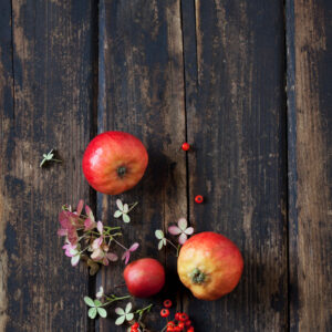 Malus 'Ecolette'