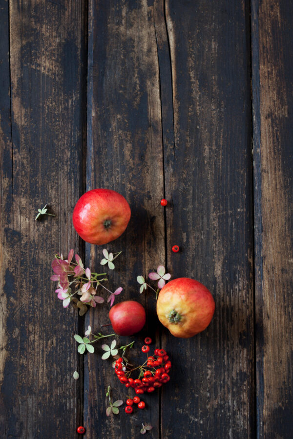 Malus 'Ecolette'